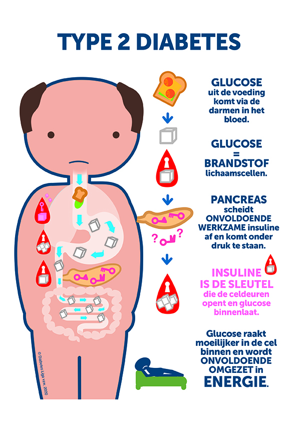 halt2diabetes-visuals-diabetes-liga